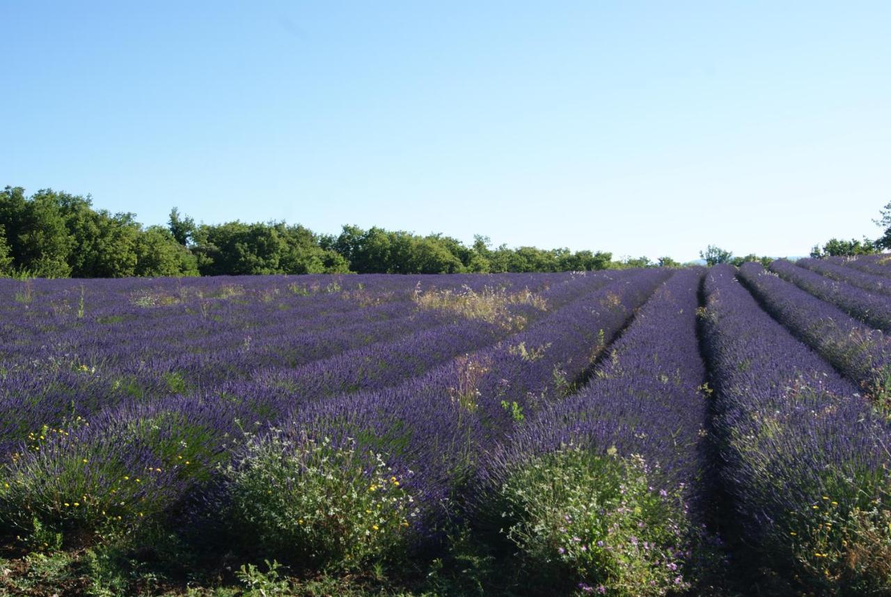 Hébergement de vacances La Charité à Proximité De Roussillon, Gordes Gargas (Vaucluse)